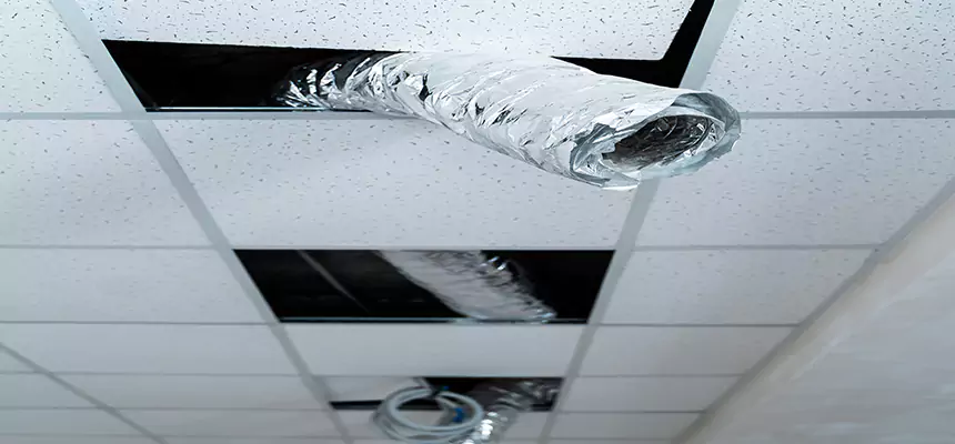 Our Air Duct Pet Hair Removal Services in Yukon, OK