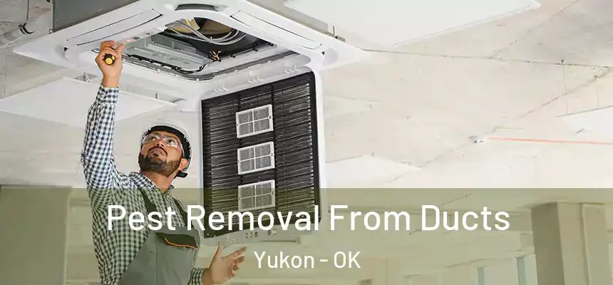 Pest Removal From Ducts Yukon - OK