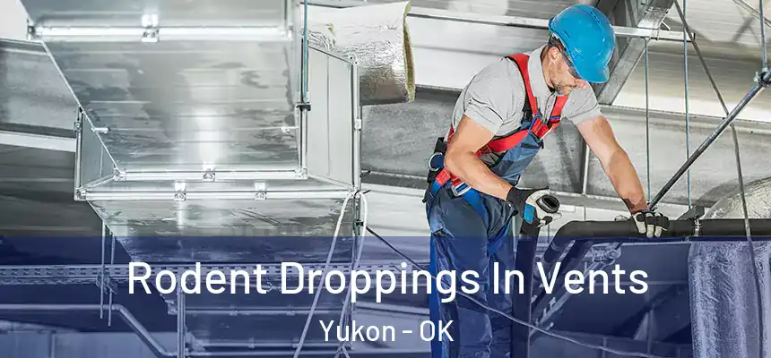 Rodent Droppings In Vents Yukon - OK