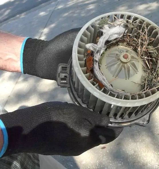 About Air Duct Mice Removal in Yukon, OK