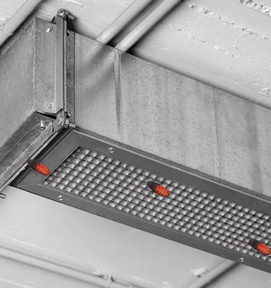 Affordable Insect Removal from Air Ducts in Yukon, OK